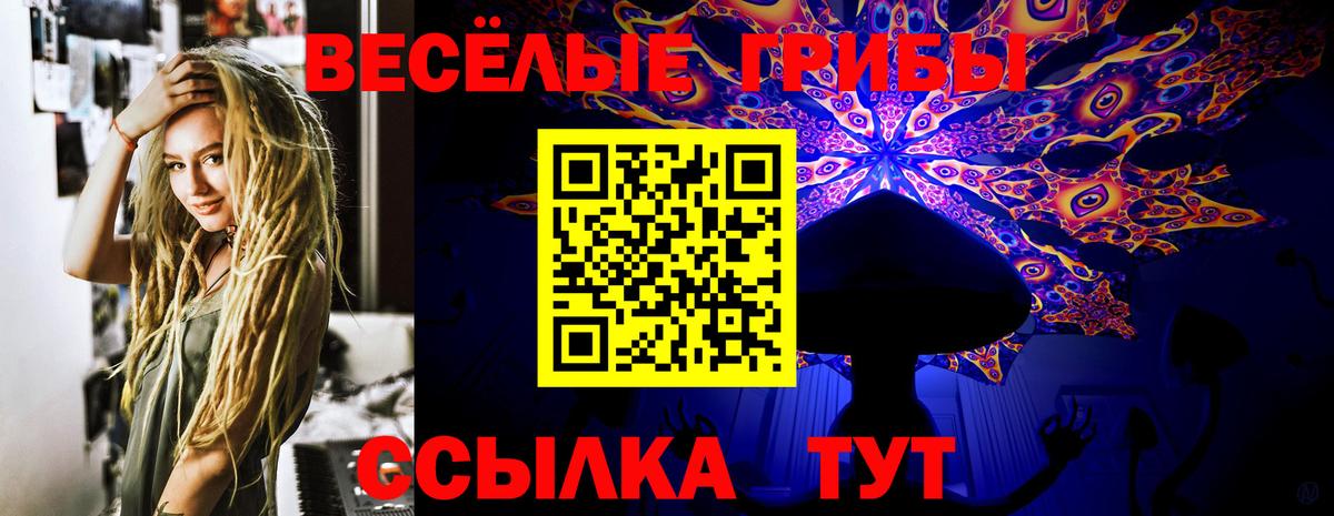Псилоцибиновые грибы MAGIC MUSHROOMS  Псилоцибиновые грибы мицелий  Железноводск  Вход с VPN 