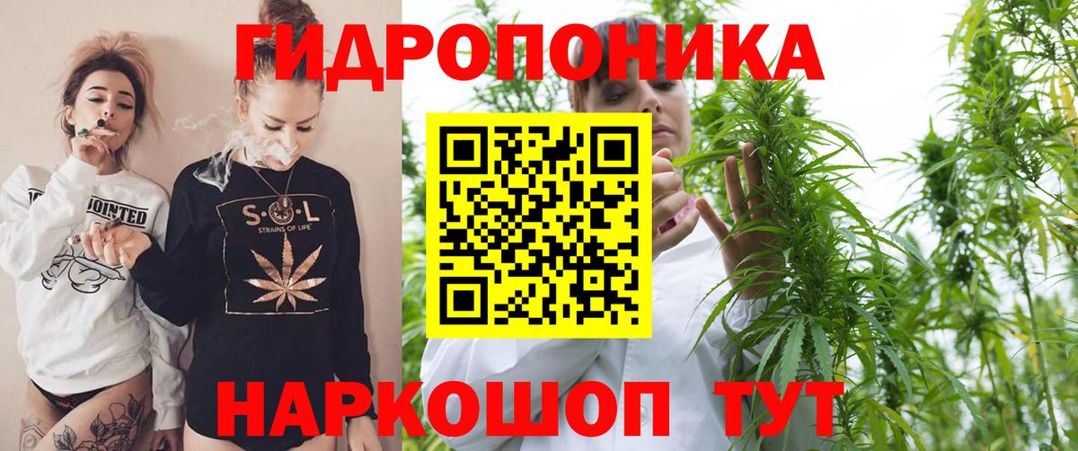 Шишки марихуана OG Kush Железноводск